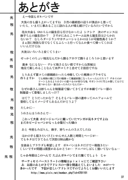 Page 37 of G Panzer 2