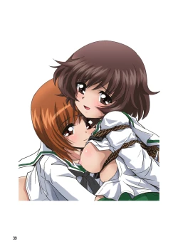 Page 43 of G Panzer 3