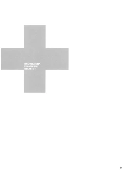 Page 2 of IMANOKIMIHA PIKAPIKANI HIKATTE