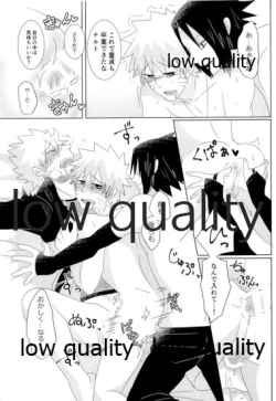 Page 31 of Kago no Tori