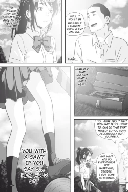 Page 324 of Kimi No Na WaThoughts and Dreams
