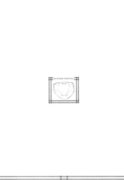 Page 3 of PANTSER FRONTier