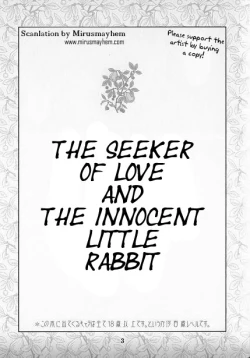 Page 2 of The Seeker of Love and the Innocent Little Rabbit