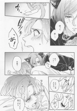 Page 26 of Lancelot ga Kemomimi no Kodomo o hirotta Hanashi 2