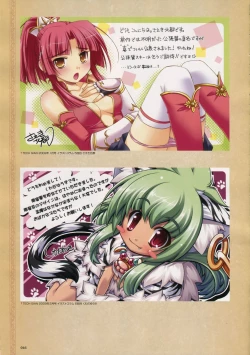 Page 49 of Shin Koihime MusouPerfect Visual Book