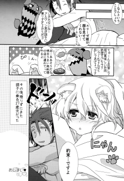 Page 17 of Attachment Fever