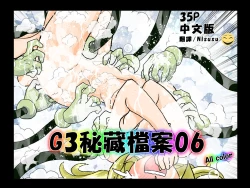 Page 1 of G3 Hizou File 06