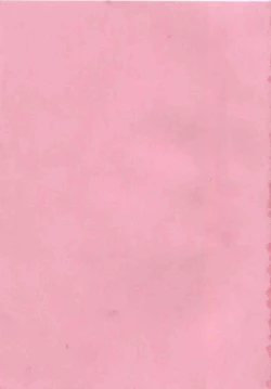 Page 3 of Chu Pet Strawberry Days