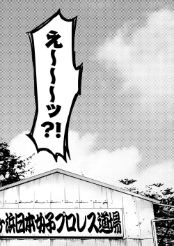 Page 2 of Honki nadeshiko