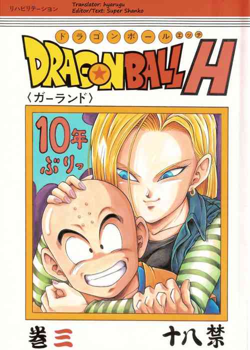 Download DragonBall H Maki San
