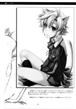 Page 20 of Fie Ijiri