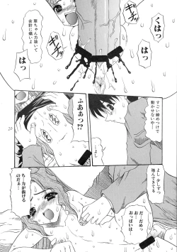 Page 19 of ...for the NOISE MAKER