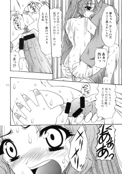 Page 21 of ...for the NOISE MAKER