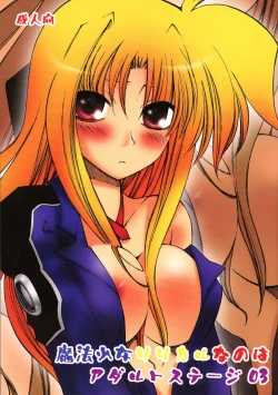 Page 1 of Mahou Shoujo Lyrical Nanoha Adult Stage 03