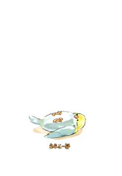 Page 25 of Shiragiku Hotaru no kore o Mitemo... Kirai ni naranai de Kudasai | 白菊萤的就算看到这个…也请不要讨厌我…