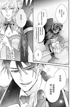 Page 13 of himegimi wa wakaki shōgun ni oboreru | 公主被年輕將軍迷戀