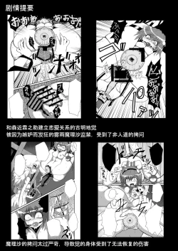 Page 5 of TooriMarisa ni Ki o Tsukero Sono San