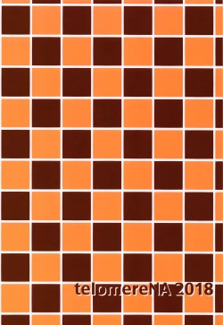 Page 70 of Minami datte Yuuwaku Shimasu yo? | Don't Think For A Second That Minami Won't Seduce You.