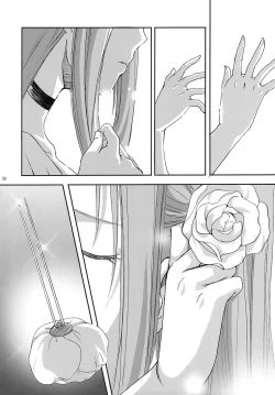 Page 31 of bird sanctuary