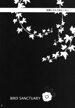 Page 7 of bird sanctuary