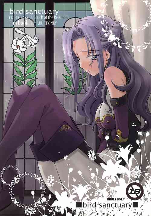 Download bird sanctuary