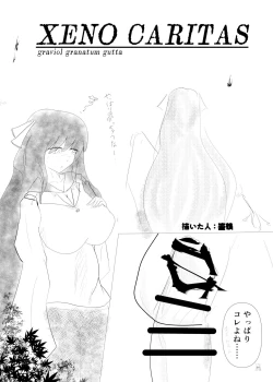 Page 63 of Touhou Futanari Kyodai Seishi Goudoushi