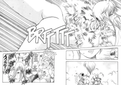 Page 24 of Silky Whip Extreme 3