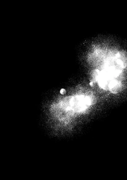 Page 35 of Chouritsu Penalty