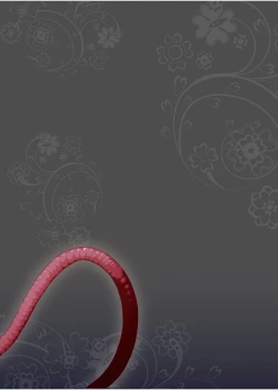 Page 54 of Bouken no Sho Series Soushuuhen - The Adventurer's Book has Perfect. Vol. 1