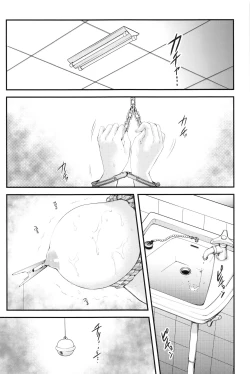 Page 9 of Shiori DaiShou Futarime no JushinShinsouban