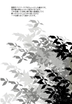 Page 32 of Tokai Deep Dish