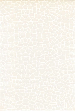 Page 4 of Bunshin Reppuu-ken