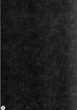 Page 6 of Ruru Haramix! Joukan