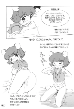 Page 15 of BM HAMTARO