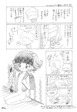 Page 29 of BM HAMTARO