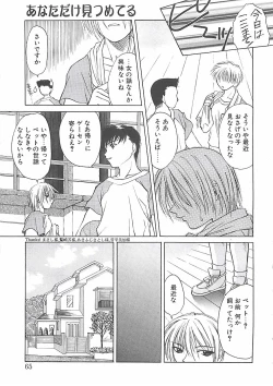 Page 65 of Abyssinian