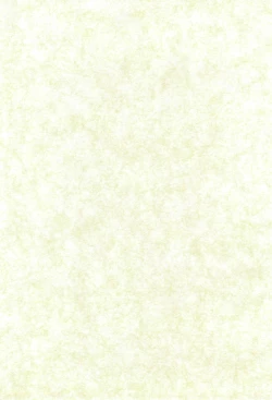 Page 3 of whip x whip