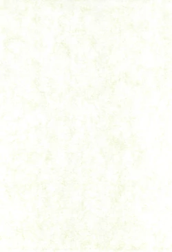 Page 4 of whip x whip