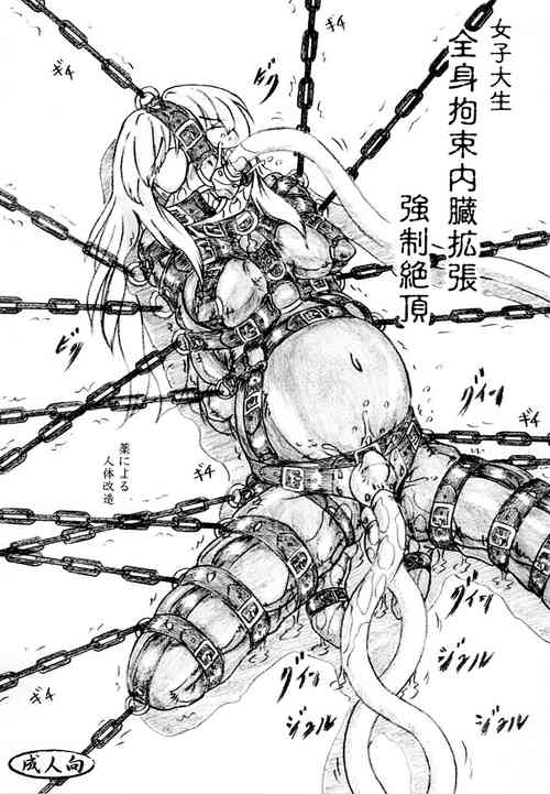 [Sumomo Dou (Sumomo EX)] Joshi Daisei Zenshin Kousoku Naizou Kakuchou Kyousei Zecchou [Digital]
