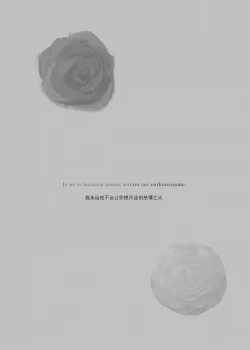 Page 2 of 2048565-White Camellia & Red Rose