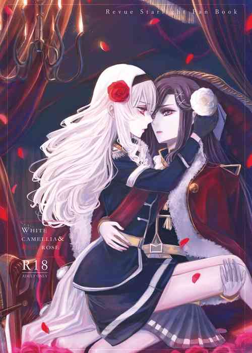 Download 2048565-White Camellia & Red Rose