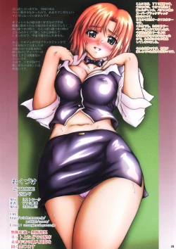 Page 17 of 2Stroke NSR-V