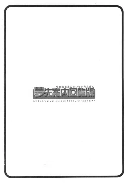 Page 13 of VAIO 100%