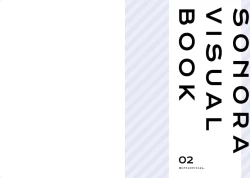 Page 12 of Sonora Visual Book