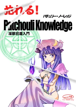 Page 1 of Yareru! Patchouli knowledge