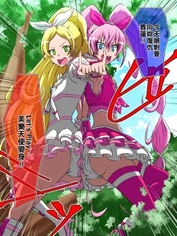 Page 14 of Haiboku no Precure