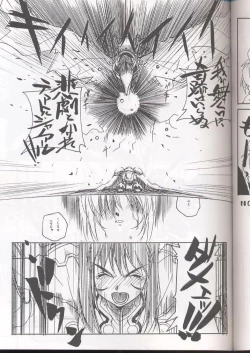 Page 16 of E-RO² III