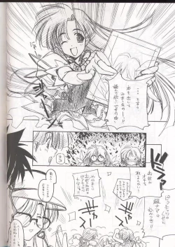 Page 55 of E-RO² III