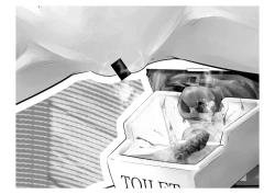 Page 72 of Migawari Kyousei Mesu Kobi