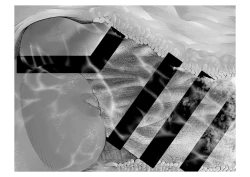 Page 92 of Migawari Kyousei Mesu Kobi